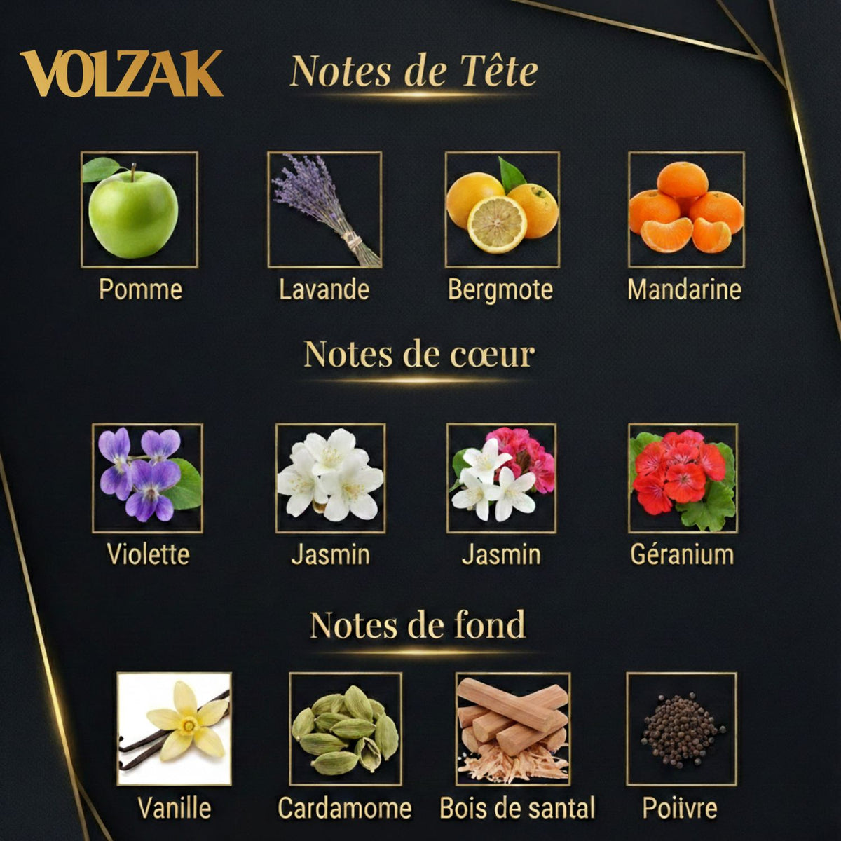 VOLZAK PARFUM NOBLESSE INTENSE 100ML HOMME